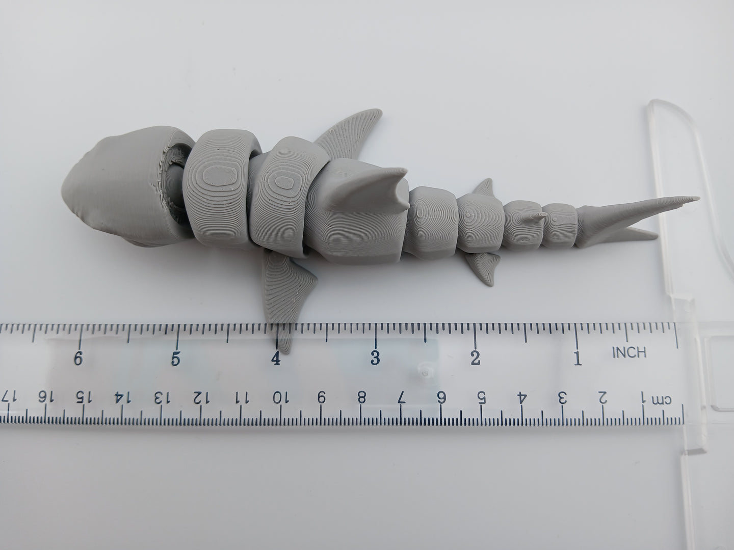 Great White Shark